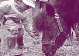 Natürliches Reiten - Compagnie Digestif